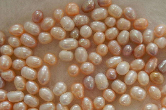 河蚌里的珍珠是怎么形成的