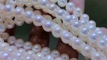 珍珠有什么作用和功效